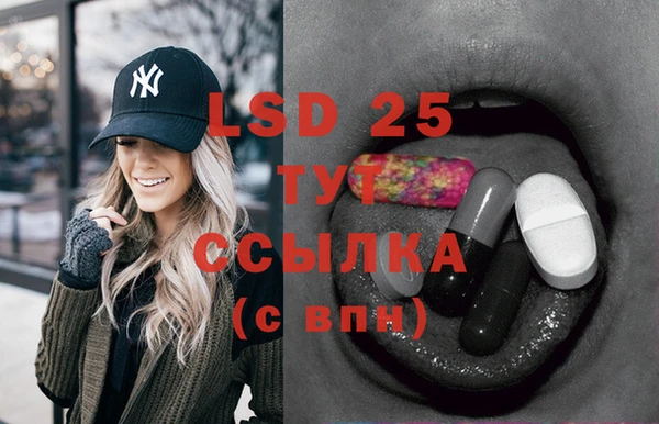 сатива Алзамай