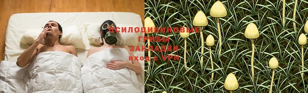 сатива Алзамай