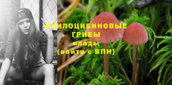 сатива Алзамай